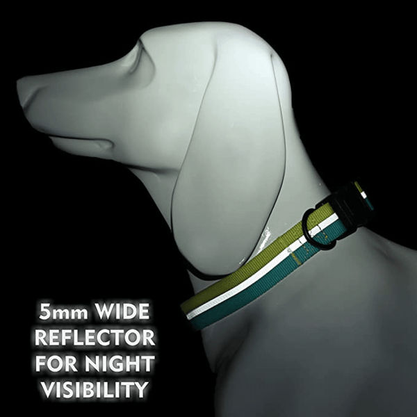 Glucklich Everyday Reflective Collar for Dogs (Mint Green)