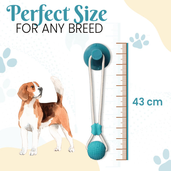 Basil Silicon Vacuum Cup with Rope & Ball Toy for Dogs and Cats | For Medium Chewers (Purple)
