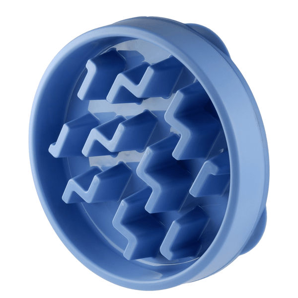 Outward Hound Fun/Slow Feeder for Dogs (Blue)