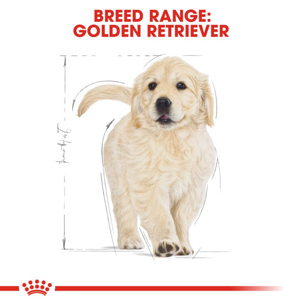 Royal Canin Golden Retriever Puppy Dog Dry Food