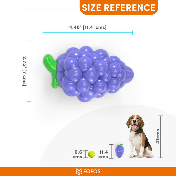 Barkbutler x Fofos Crazy Grape Squeaky Chew Toy for Dogs | For Medium Chewers (Blue)