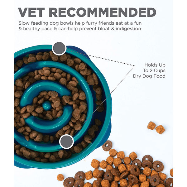 Outward Hound Fun/Slow Feeder for Dogs (Teal)