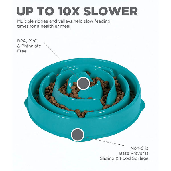 Outward Hound Fun/Slow Feeder for Dogs (Teal)