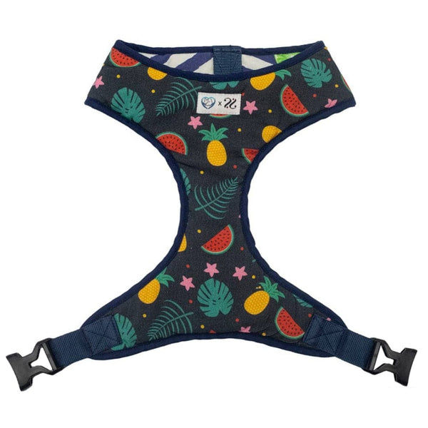 Pet And Parents Fresh Fruit Reversible Harness for Dogs