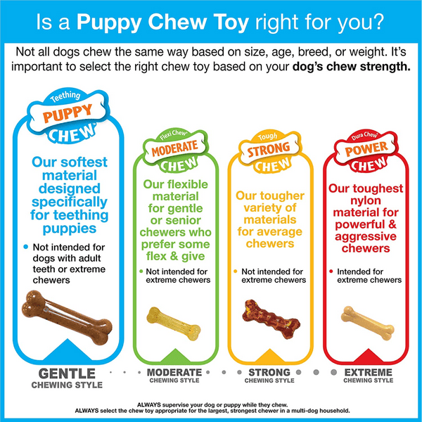 Nylabone Puppy Teething Chicken Flavoured Dental Bone Chew Toy for Dogs (Blue)