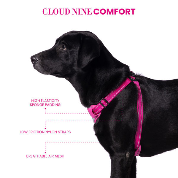 Truelove Step in with Duraflex Buckles & 3M Reflective Harness for Dogs (Fuschia)
