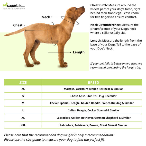 Petsnugs Gentle Knit Sweater for Dogs and Cats (Grey & White)