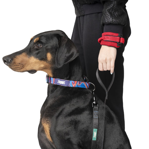 Zoomiez Hands Free Mesh Leash for Dogs & Cats (Red)