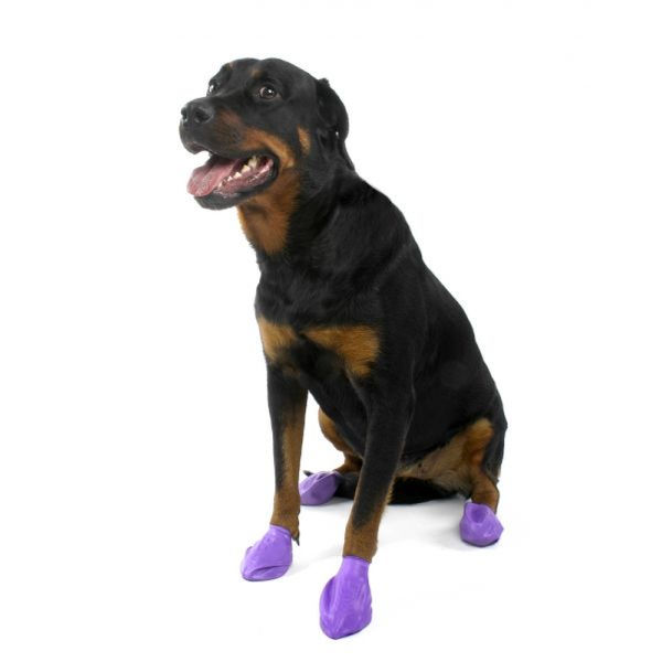 Protex PawZ Disposable and Reusable Boots for Dogs (Purple)