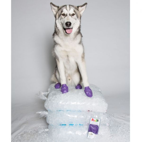 Protex PawZ Disposable and Reusable Boots for Dogs (Purple)