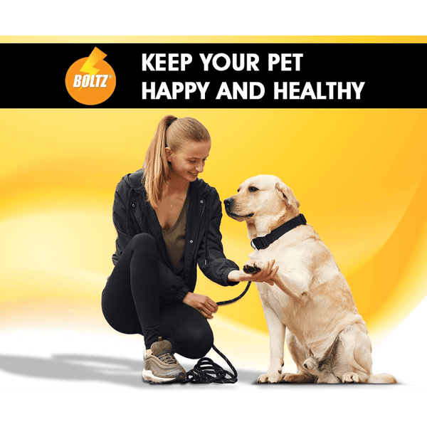 Boltz Anti Tick & Flea Shampoo with Brush for Dogs