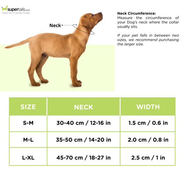 Trixie Premium Collar for Dogs (Papaya)