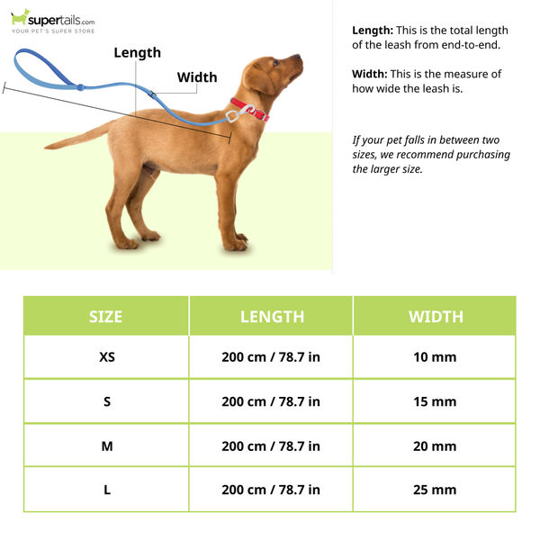 Truelove Classic Reflective Leash for Dogs (Grey)