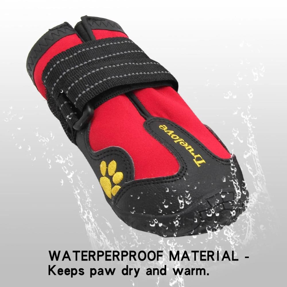 True love dog shoes clearance