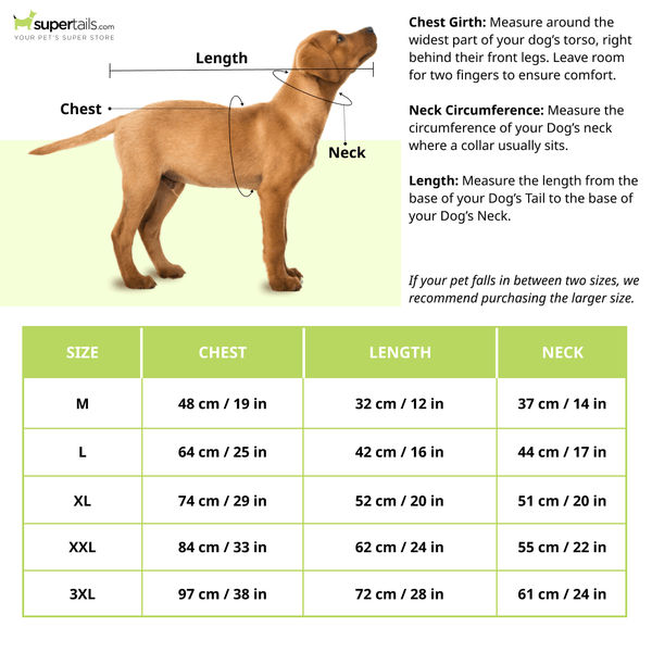 Barkbutler x Fofos Four Leg Black Raincoat for Dogs (Button Up Style)