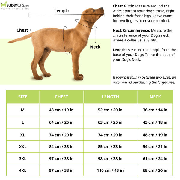 Barkbutler x Fofos Reflective Raincoat for Dogs