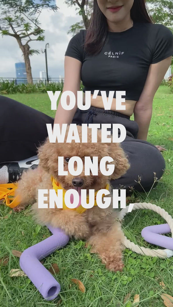 Furry & Co Roller Toy for Dogs (Indigo Blue)