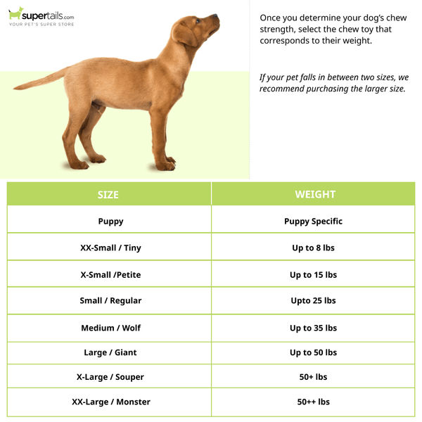 Nylabone Puppy Teething Lamb and Apple Flavoured Chew Bone Toy for Dogs (Yellow)