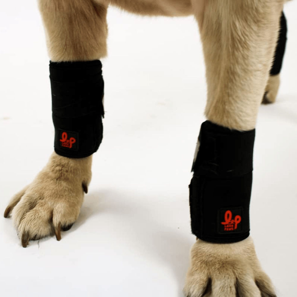 Lana Paws Front Leg Braces for Carpal Support and Mobility for Dogs and Cats (Black)