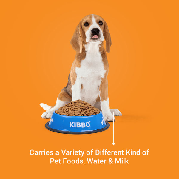 Kibbo Anti Skid Stainless Steel Printed Bowl for Dogs and Cats (Blue)