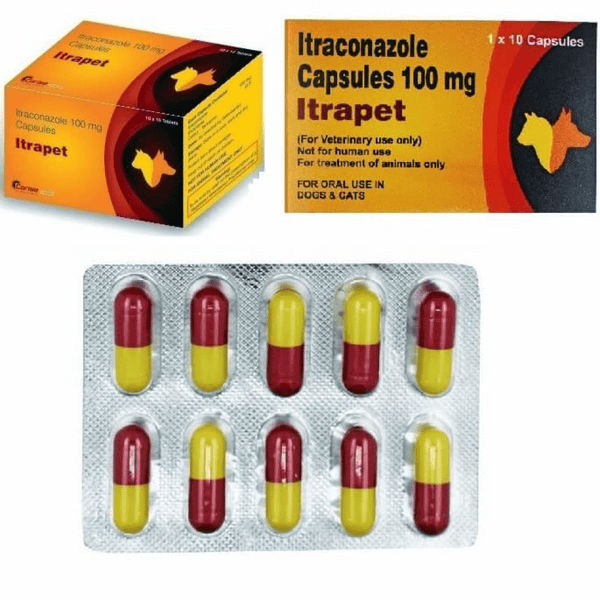 Corise Itrapet 100mg Capsules (Itraconazole) for Dogs and Cats