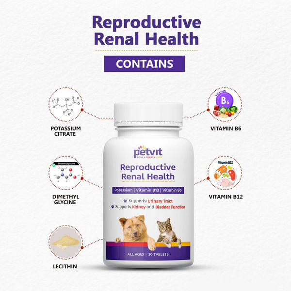 Petvit Reproductive Renal Health Tablet for Dogs and Cats