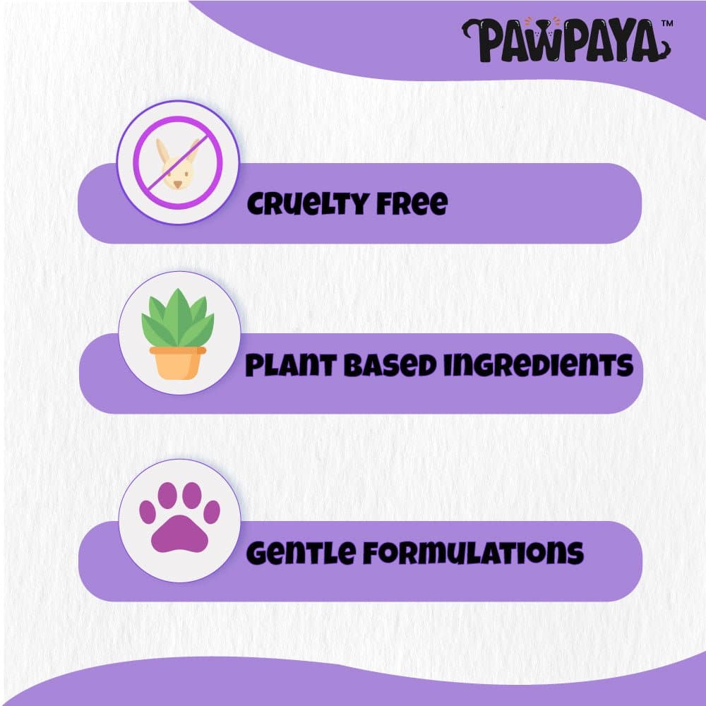 Pawpaya Pet Wipes for Dogs and Cats