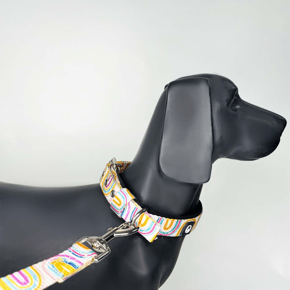 Forfurs Pride Pin Buckle Collar for Dogs