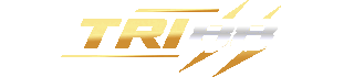 LOGO TRI88