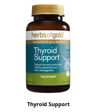 Thyroid Support