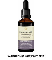 Wanderlust Saw Palmetto