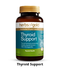 Thyroid Support