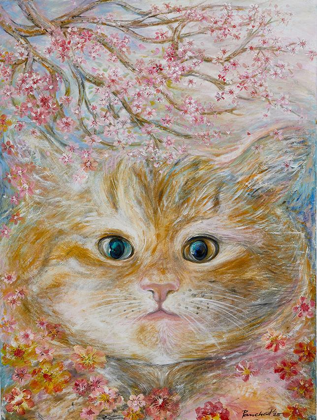 Meow Meow’S Happiness