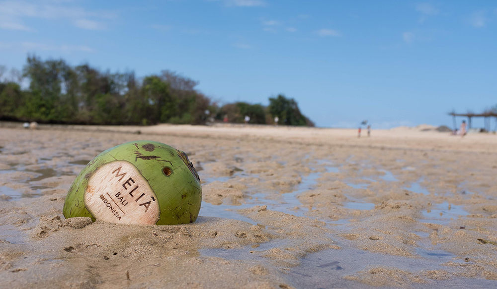 Melia Bali Coconut On The Beach