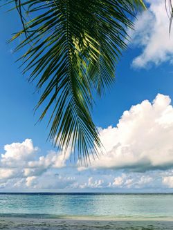 Vilamendhoo Island Resort - Shoreline