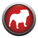 logo_bullguard