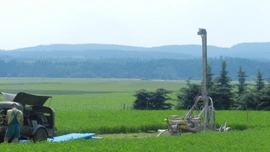 Vrt