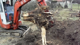 Vyváženi stavební sutě z demolice a kopáni pařezů