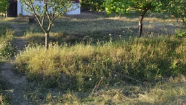 Jak jsme vybírali pozemek a následně architekta...