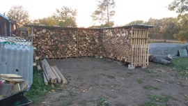 Polínka všude - říjen 2018