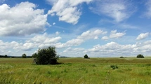 Pozemek