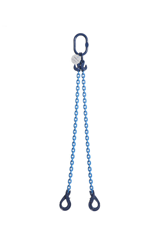 2-leg, Clevis Sling Hook, 2.5 ton, 8 mm, 2 m-image-1