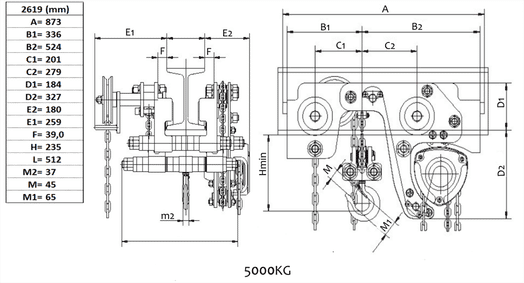 Integrerat lågbyggt lyftblock/balkvagn 5000 kg-image-3