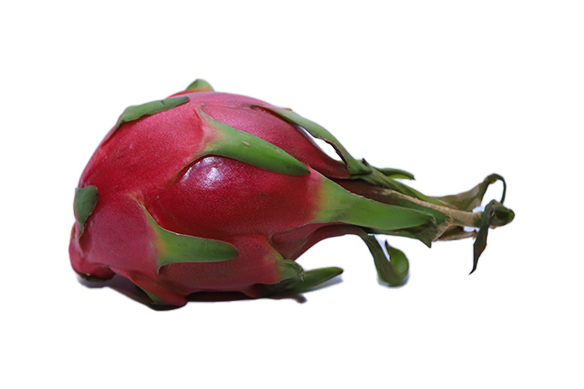 ՊԻՏԱԽԱՅԱ ԿԱՐՄԻՐ ՀՏ