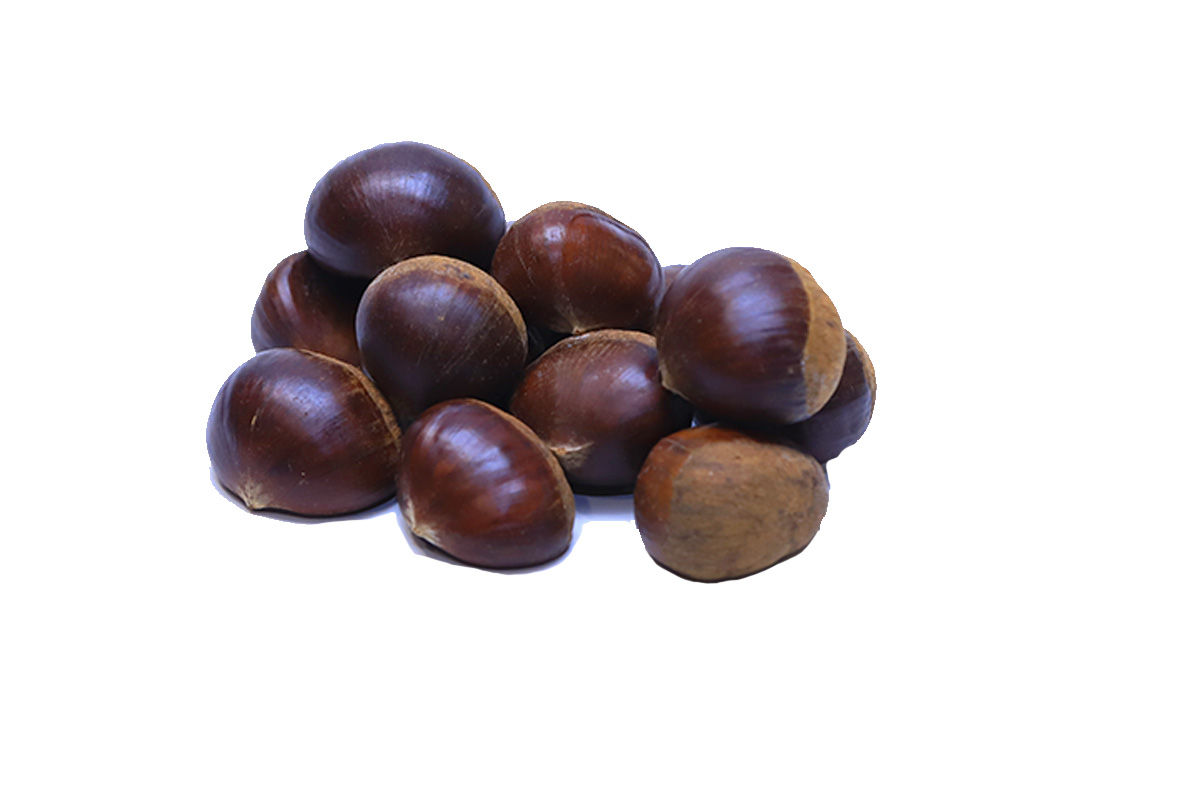 ԿԱՇՏԱՆ ԸՆՏԻՐ ԿԳ