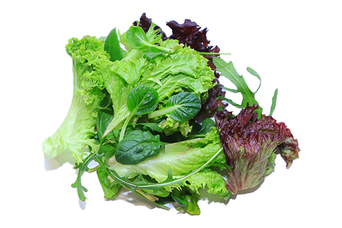 ՄԻՔՍ ԿԱՆԱՉԻ ՀՏ