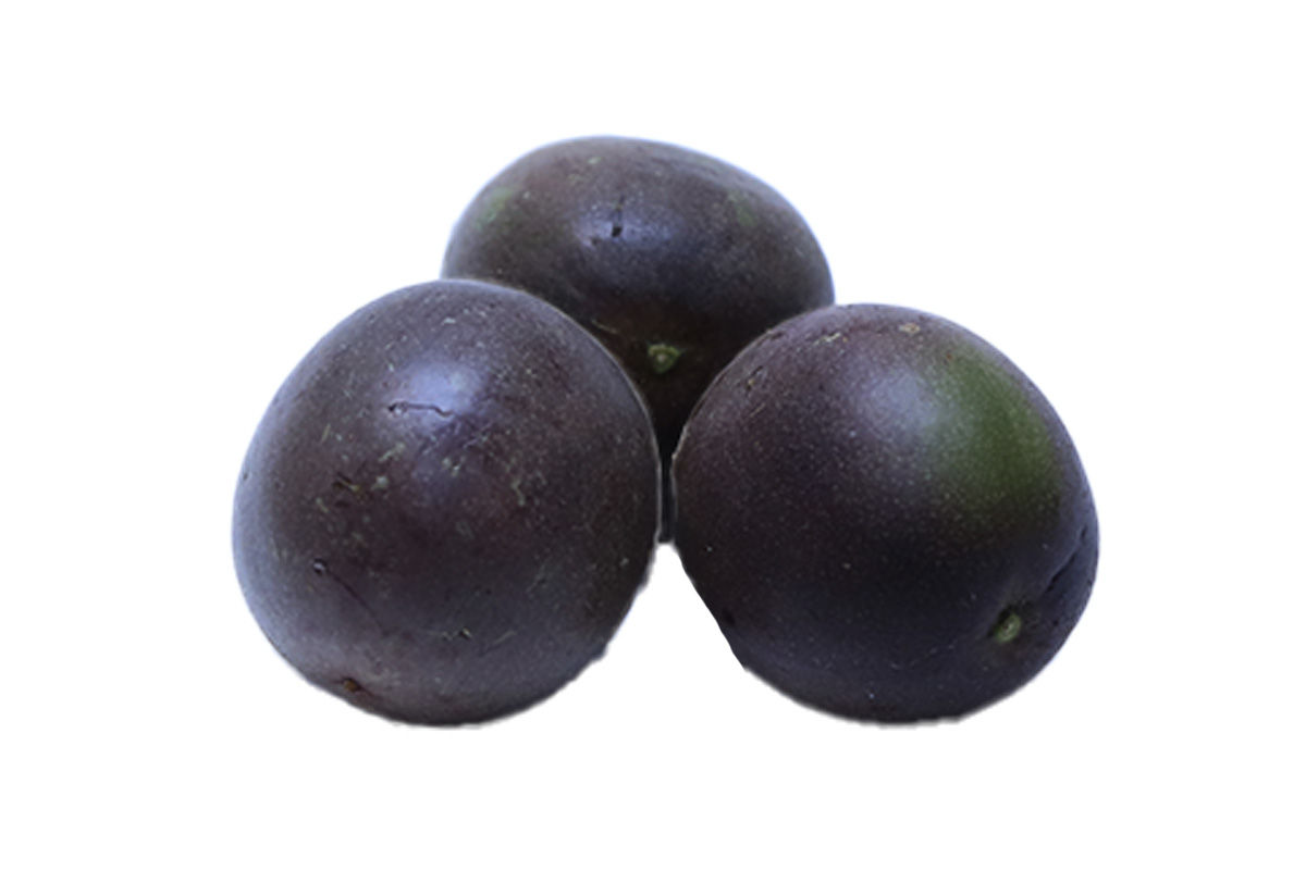 ՄԱՐԱԿՈՒՅԱ ԿԳ