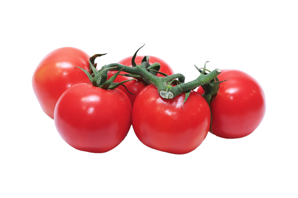 ԼՈԼԻԿ ՎԵՏԿԱ ՔԱՂՑՐ ԿԳ