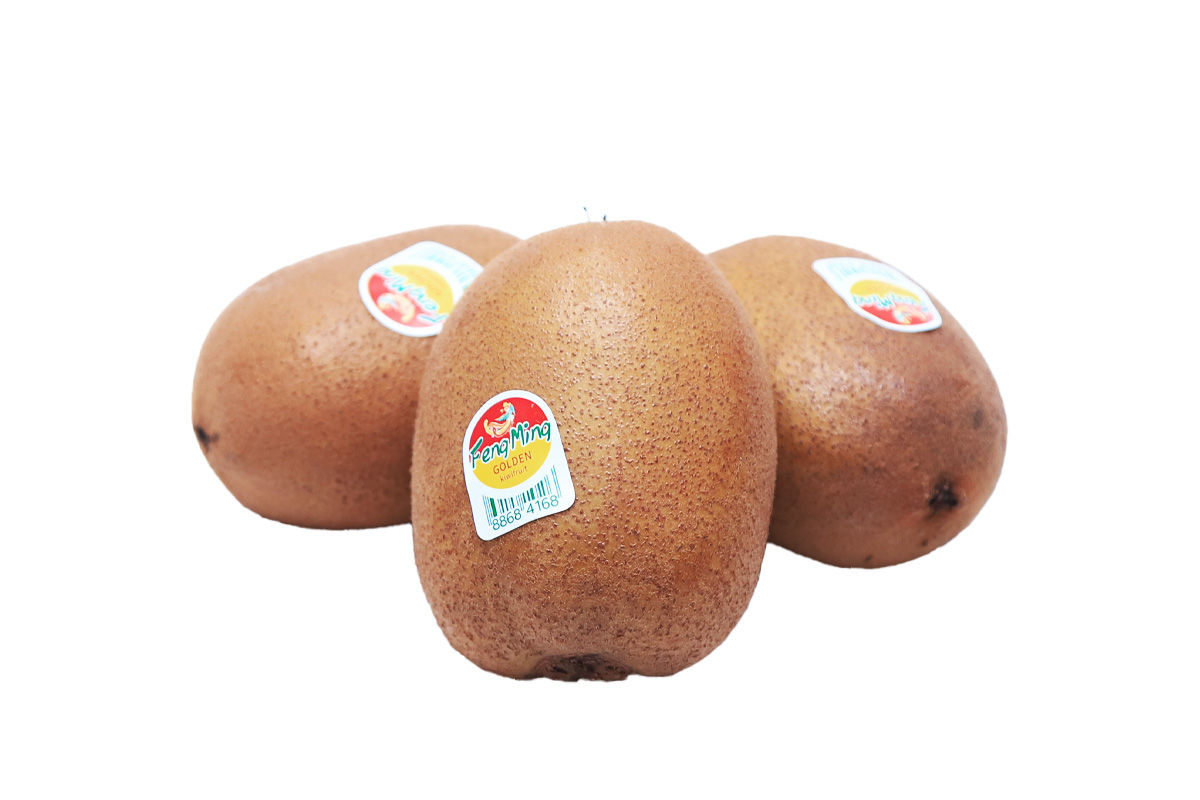 ԿԻՎԻ ԳՈԼԴ ԿԳ