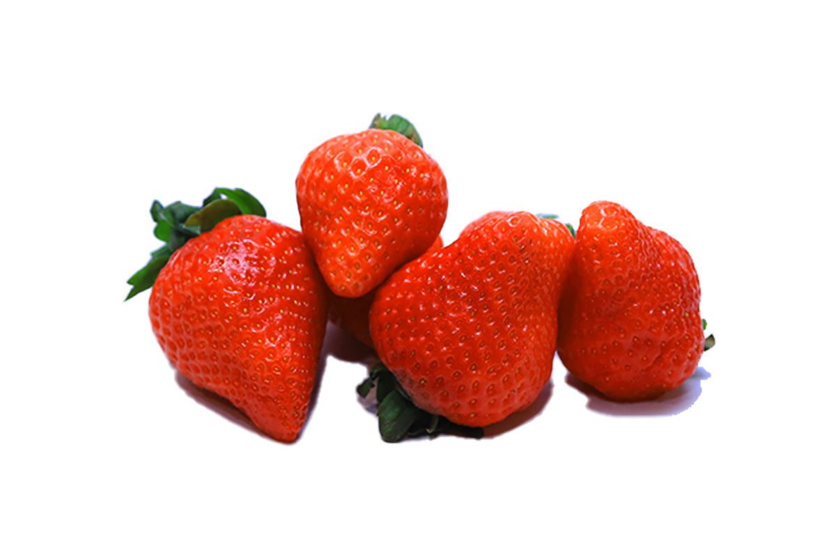 ԵԼԱԿ ԽՈՇՈՐ ԿԳ